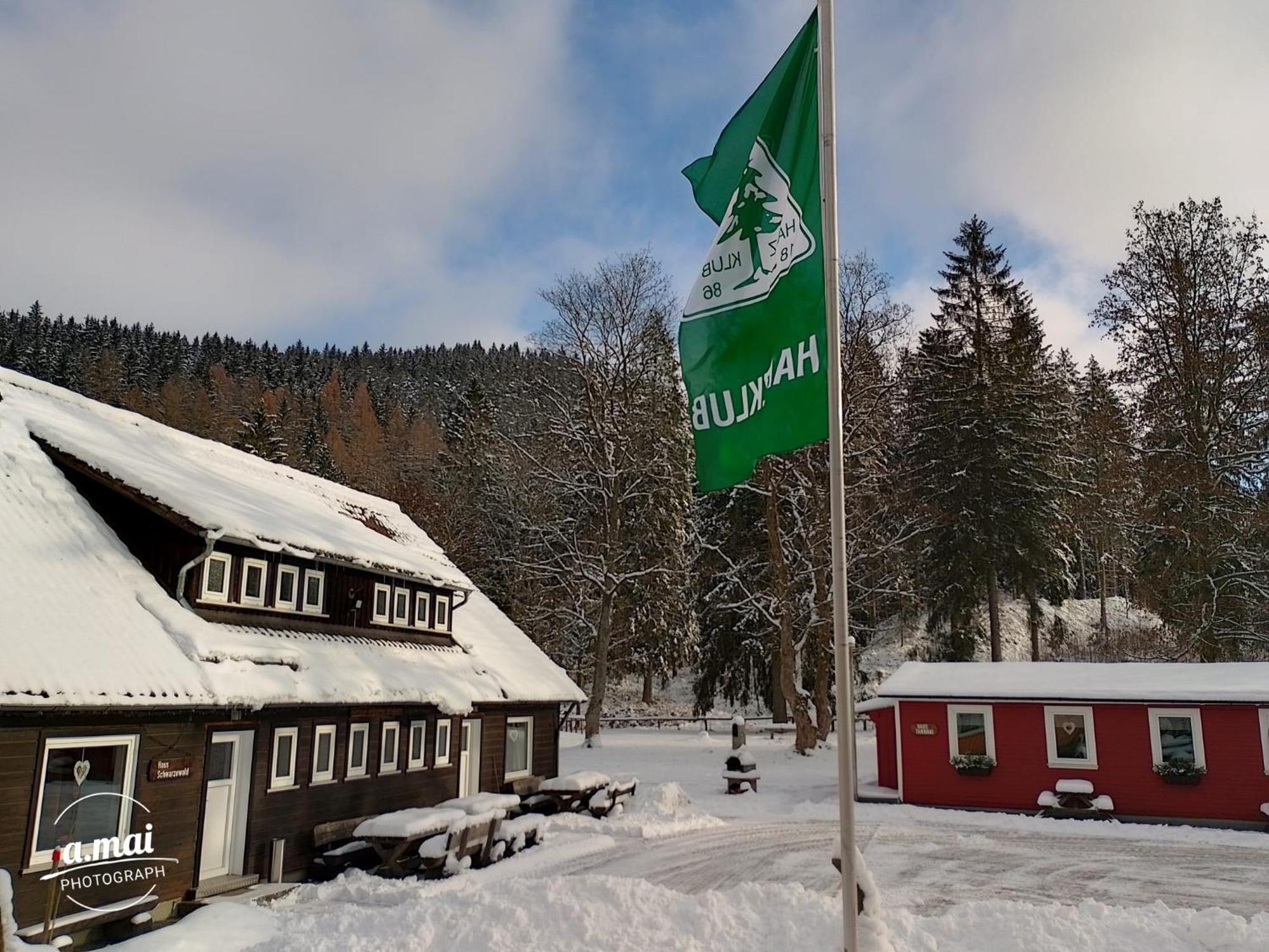 Апартаменты Harzklub Wanderheim Вильдеманн Экстерьер фото